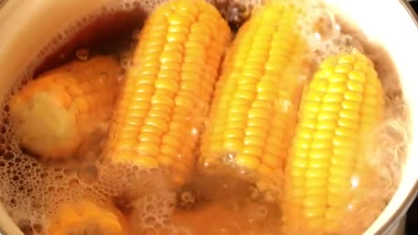 Приготовление Пищи Свежей Кукурузы Кипящей Воде — стоковое видео