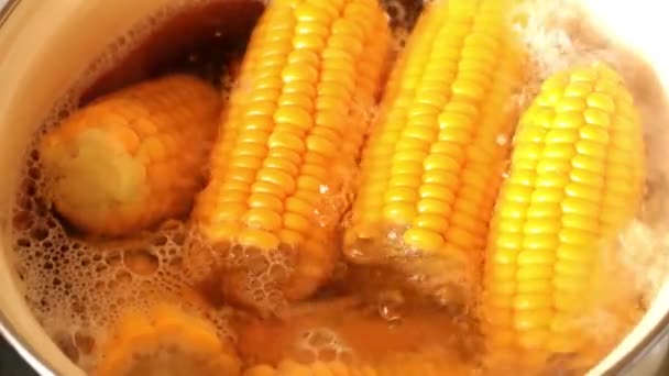 Étkezési Friss Kukorica Forrásban Lévő Vízben Főzés — Stock videók