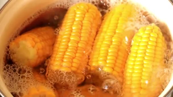 Kochen Zum Essen Von Frischem Mais Kochendem Wasser — Stockvideo