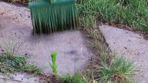 Varrendo Lixo Com Uma Vassoura Estrada Jardim — Vídeo de Stock