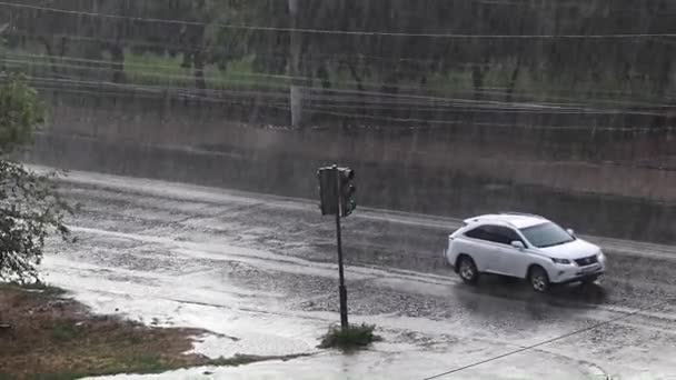 Miejskiego Transportu Drogowego Pod Strumień Ulewny Deszcz — Wideo stockowe