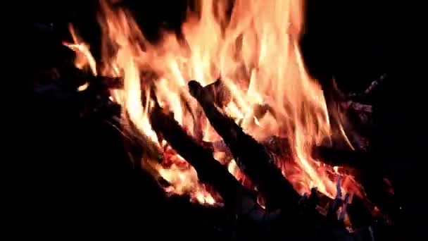 Lidah Terang Api Panas Tungku — Stok Video