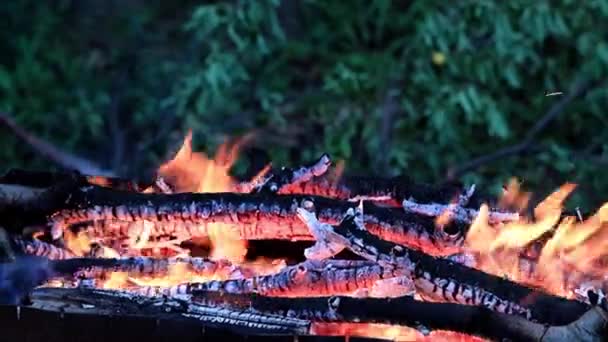 Helle Zungen Heißer Flamme Kohlenbecken — Stockvideo