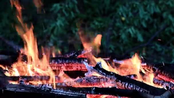 火炉中炽热的火焰之舌 — 图库视频影像