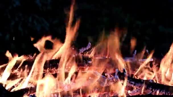 화로에 뜨거운 불꽃의 — 비디오