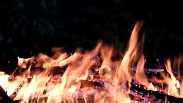 Línguas Brilhantes Chama Quente Braseiro — Vídeo de Stock