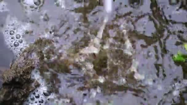 Une goutte d'eau de pluie tombe sur la parcelle de jardin 