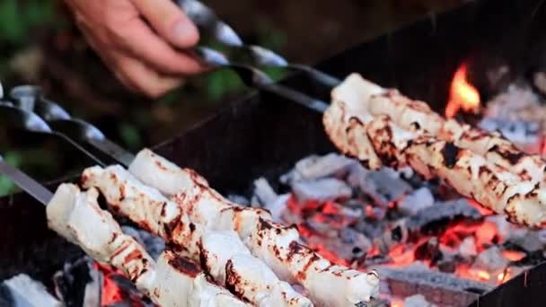 Διαδικασία Του Μαγειρέματος Ψητό Κρέας Σουβλάκι Στα Κάρβουνα — Αρχείο Βίντεο