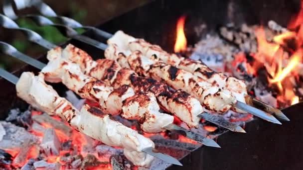 Processen Matlagning Stekt Kött Spett Kolgrill — Stockvideo