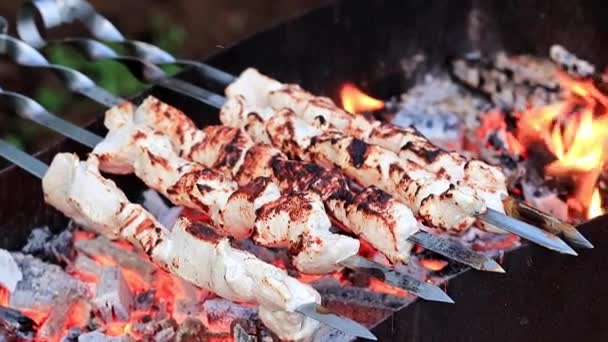 Processo Cozinhar Carne Assada Espetos Uma Grelha Carvão Vegetal — Vídeo de Stock