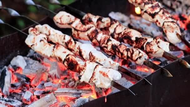 Process Cooking Roasted Meat Skewers Charcoal Grill — Stock Video