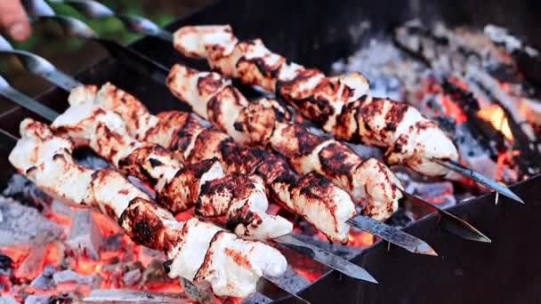 Process Cooking Roasted Meat Skewers Charcoal Grill — Stock Video