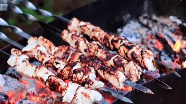 Prozess Der Zubereitung Von Gebratenem Fleisch Spieß Holzkohlegrill — Stockvideo