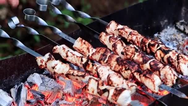 炭火焼きの串焼きロースト肉を調理のプロセス — ストック動画