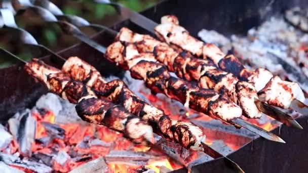 Process Cooking Roasted Meat Skewers Charcoal Grill — Stock Video