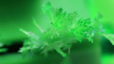 parlak yeşil şeffaf kristal doğal mineral oksit