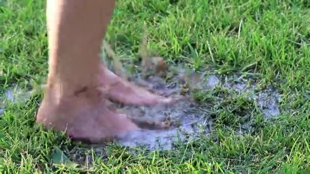 Foot Woman Walks Marshy Terrain Soil — Stock Video