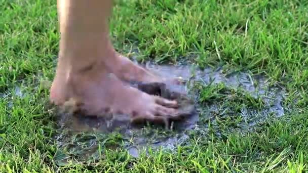 Foot Woman Walks Marshy Terrain Soil — Stock Video