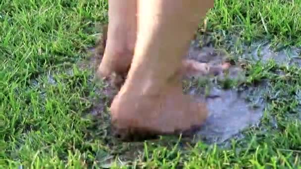 Foot Woman Walks Marshy Terrain Soil — Stock Video