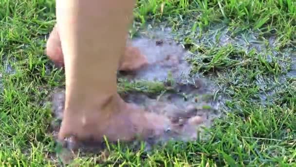 Foot Woman Walks Marshy Terrain Soil — Stock Video