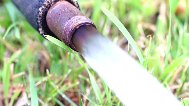 Corrente Acqua Pulita Dal Tubo Durante Prato — Video Stock