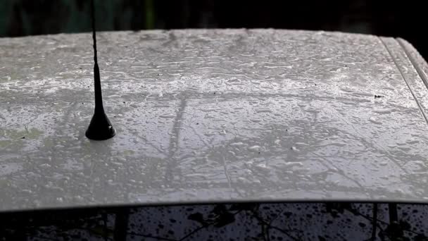Μεγάλες Σταγόνες Και Λακκούβες Βροχή Στη Στέγη Του Αυτοκινήτου — Αρχείο Βίντεο