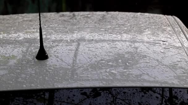 Grandes Gotas Poças Chuva Telhado Carro — Vídeo de Stock