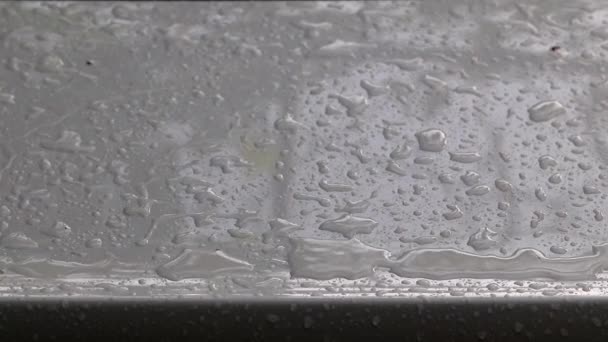 大粒と車の屋根に雨の水たまり — ストック動画