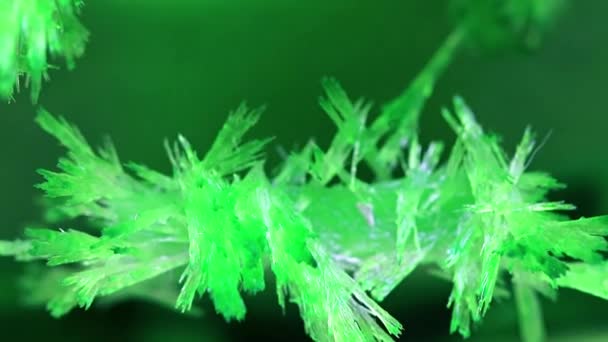 Cristal Translúcido Verde Brilhante Óxido Mineral Natural — Vídeo de Stock