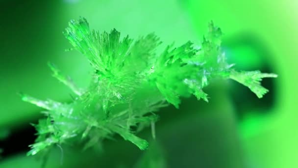 Kristal Transparan Hijau Terang Dari Mineral Oksida Alami — Stok Video