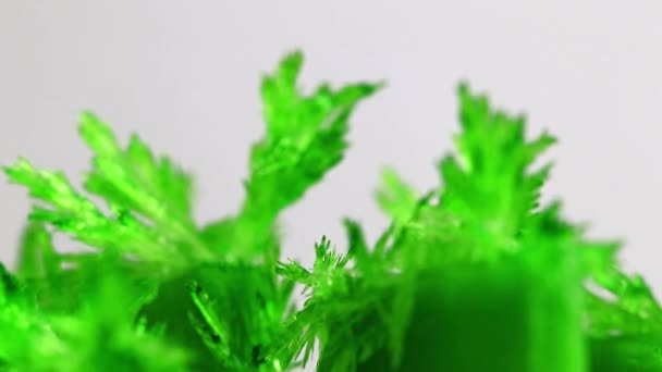 Cristal Translúcido Verde Brillante Óxido Mineral Natural — Vídeo de stock