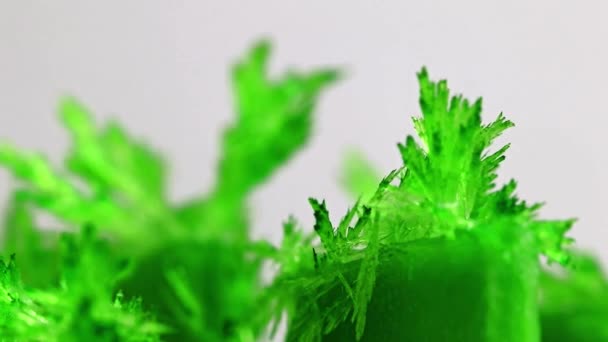 Cristallo Traslucido Verde Brillante Ossido Minerale Naturale — Video Stock