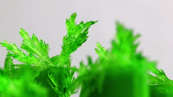 Bright Green Translucent Crystal Natural Mineral Oxide — Stock Video
