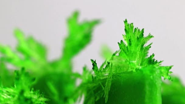 Cristal Translúcido Verde Brillante Óxido Mineral Natural — Vídeo de stock