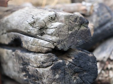 kömürleşmiş ahşap kirişler ve kırsal yangın yerine günlükleri