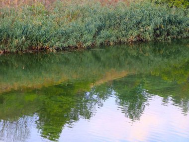 havuz ve sahil sakin suda güneşli gökyüzü yansıması