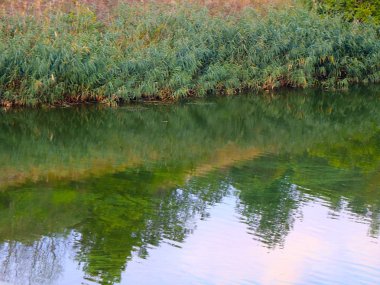 havuz ve sahil sakin suda güneşli gökyüzü yansıması