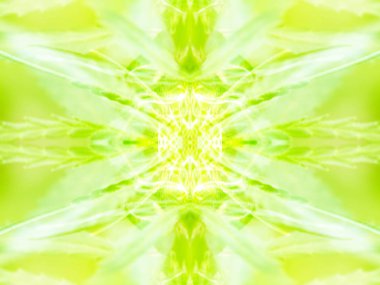 arka plan simetrik fotoğrafik görüntü bir tasarım öğesi olarak