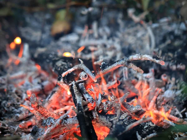 Горячее Пламя Горячие Угли Лесного Пожара — стоковое фото