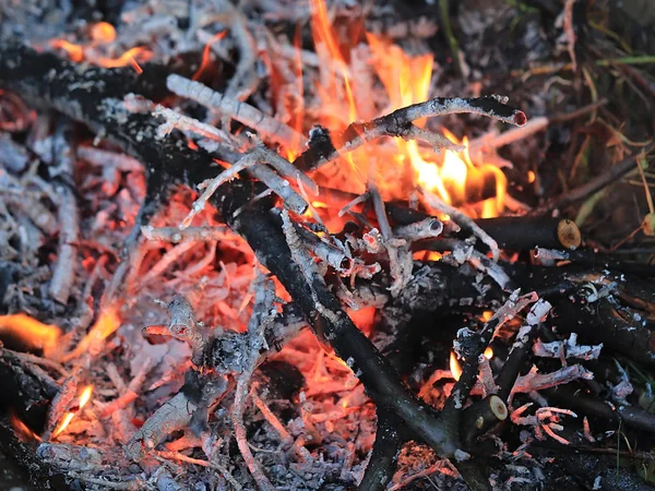 Hot Flame Och Glödande Kol Skogsbrand — Stockfoto