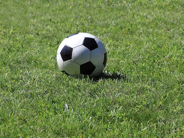 Fußball Liegt Vor Dem Spiel Auf Dem Grünen Rasen — Stockfoto