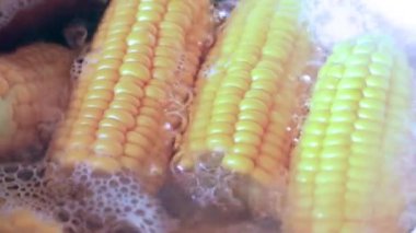 kaynar suda pişirme sırasında olgun taze mısır