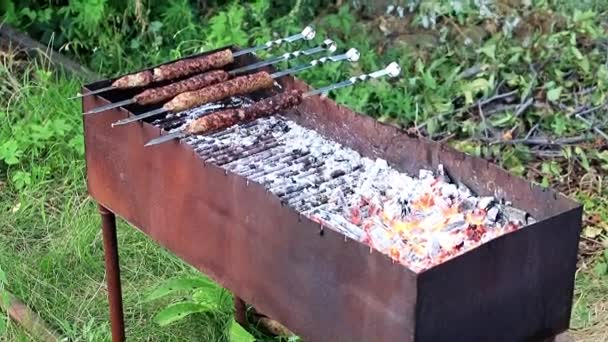 Zubereitung Von Fleisch Auf Spießen Und Heißen Kohlen Kohlenbecken — Stockvideo