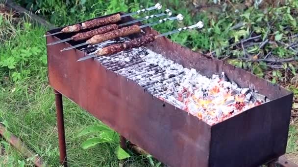 Preparação Carne Espetos Brasas Quentes Braseiro — Vídeo de Stock