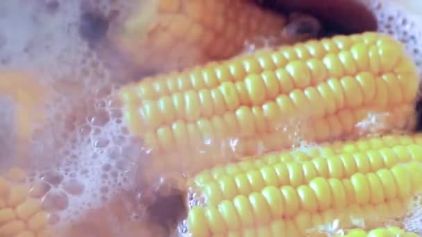 Frischer Reifer Mais Kochendem Wasser Während Des Kochens — Stockvideo