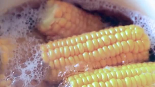 調理中に水を沸騰の新鮮な熟したトウモロコシ — ストック動画