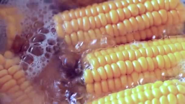 Jagung Matang Segar Dalam Air Mendidih Selama Memasak — Stok Video