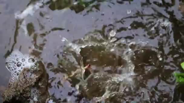 Spatten Druppels Water Vallen Een Vuile Straat Plas — Stockvideo