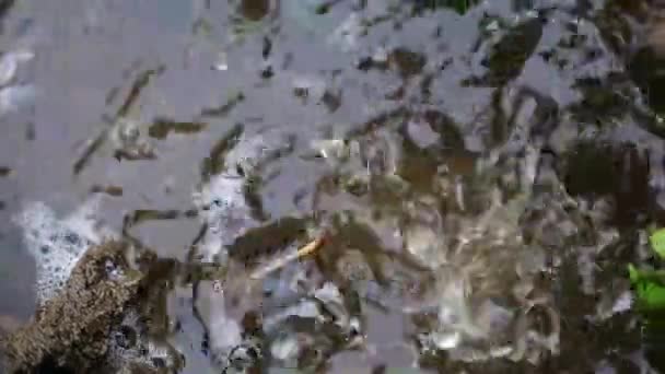 éclaboussures et gouttes d'eau tombent dans une flaque de rue sale 