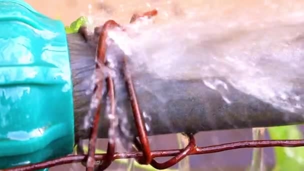 Капли Струи Воды Стыке Металлических Пластиковых Труб — стоковое видео